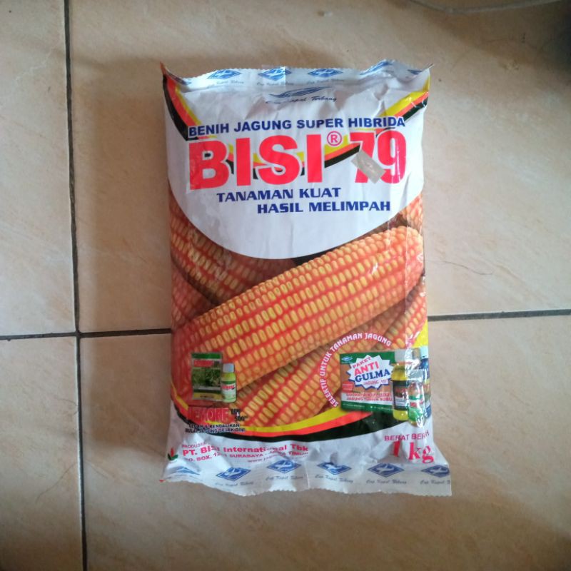 BENIH JAGUNG SUPER HIBRIDA BISI 79