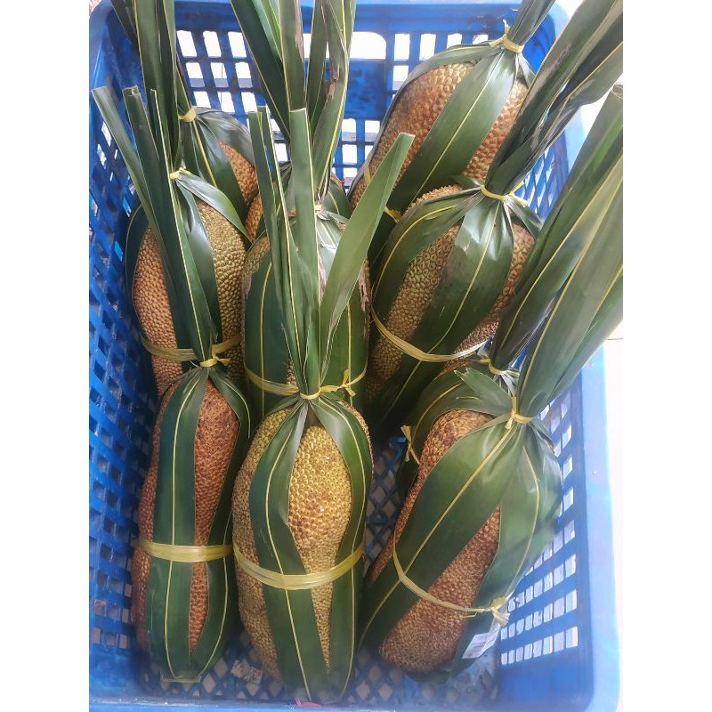 

Cempedak Pontianak manis tebal dan wangi / each