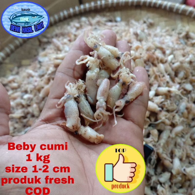 

ikan asin bebi cumi size 1-2 cm net 1kg