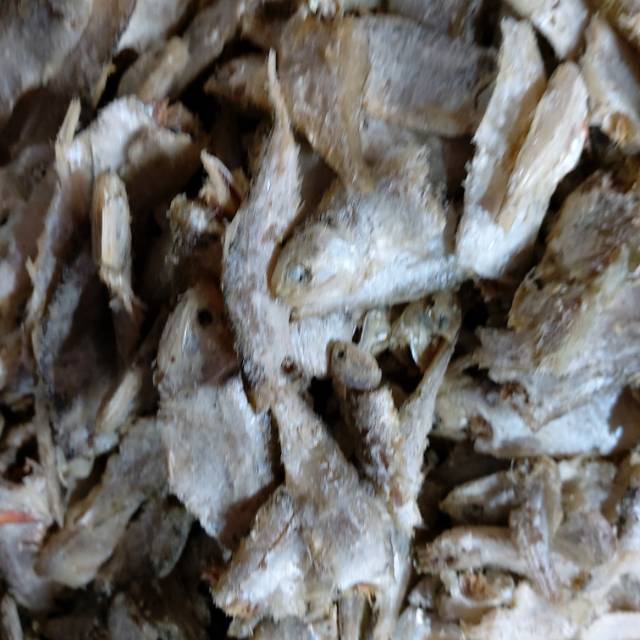 

Ikan teri sampah 55rb/kg