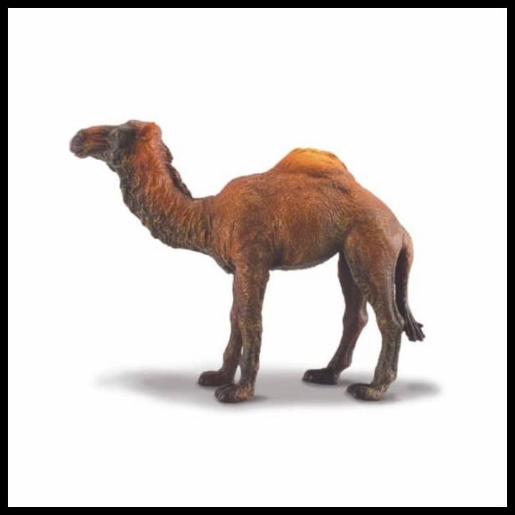 Collecta Figure Dromedary Camel