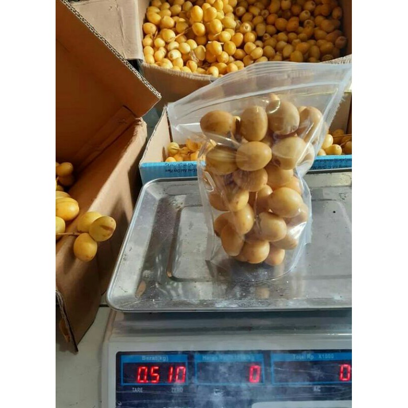 

Kurma muda