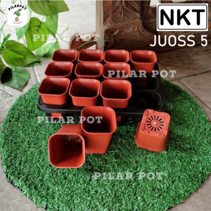 1 set Tray + pot bunga nkt kotak 5cm MERAH BATA | tray semai bibit