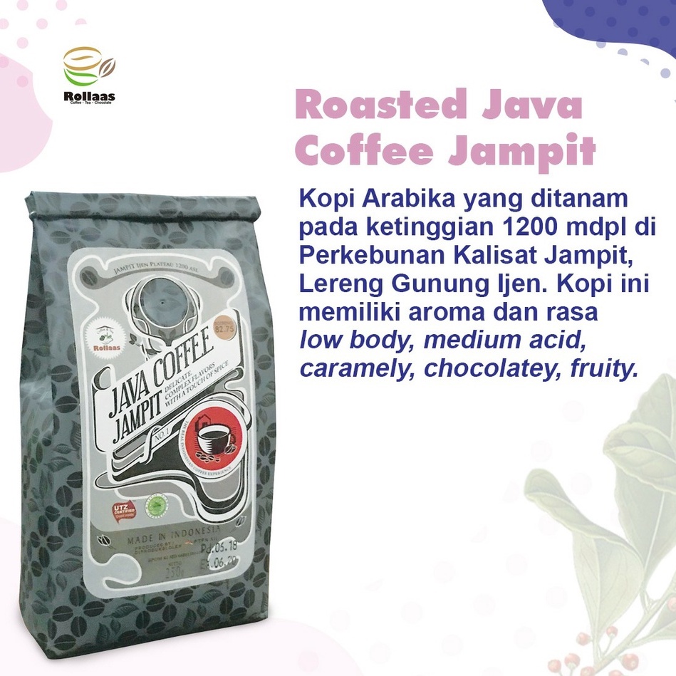 

Kopi Arabika Ijen Specialty Jampit 250 Gr - Blue Mountain Premium