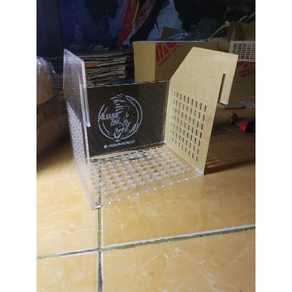 box breeding isolasi, selfie Guppy/cupang