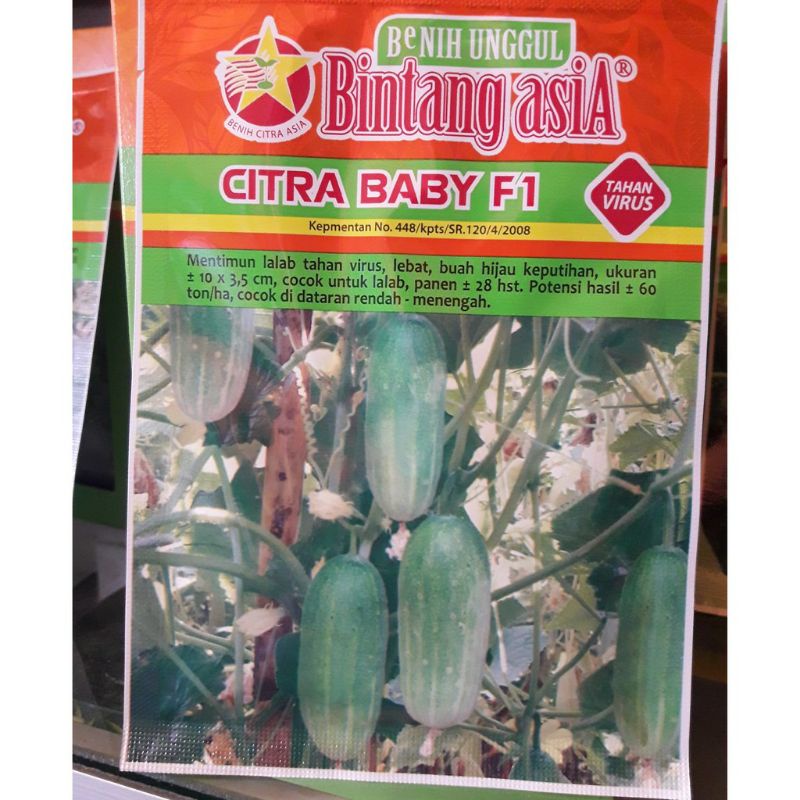 Jual Benih Timun Mentimun Citra Baby Kemasan Gram Bintang Asia Indonesia Shopee Indonesia