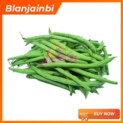 

Buncis Segar Bandung Area