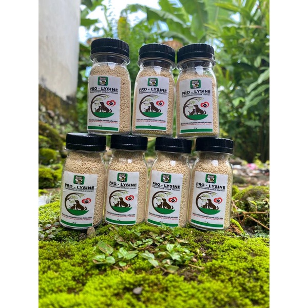 PRO-LYSINE suplemeny penambah nafsu makan kucing/anabul lainnya 50gr-100gr