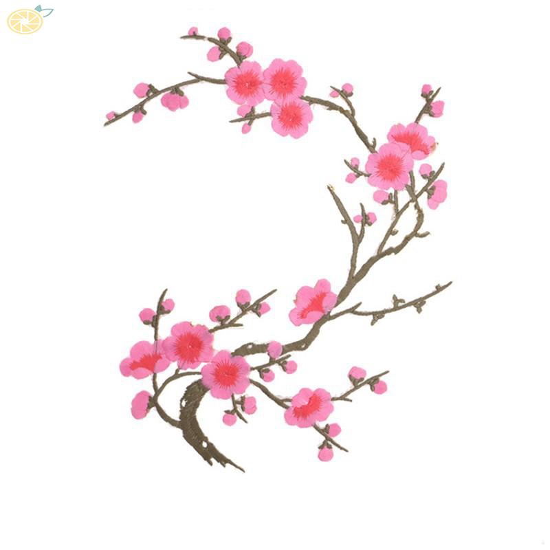 Contoh Gambar Bunga Sakura Kumpulan Foto