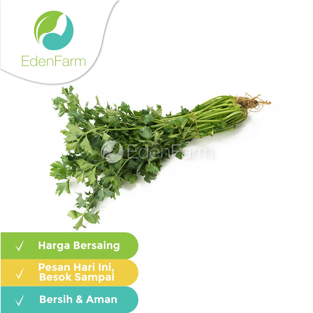 

Seledri 250gr Eden Farm