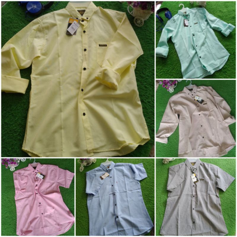 KEMEJA PRIA POLOS  KUNING LEMON KATUN OXFORD