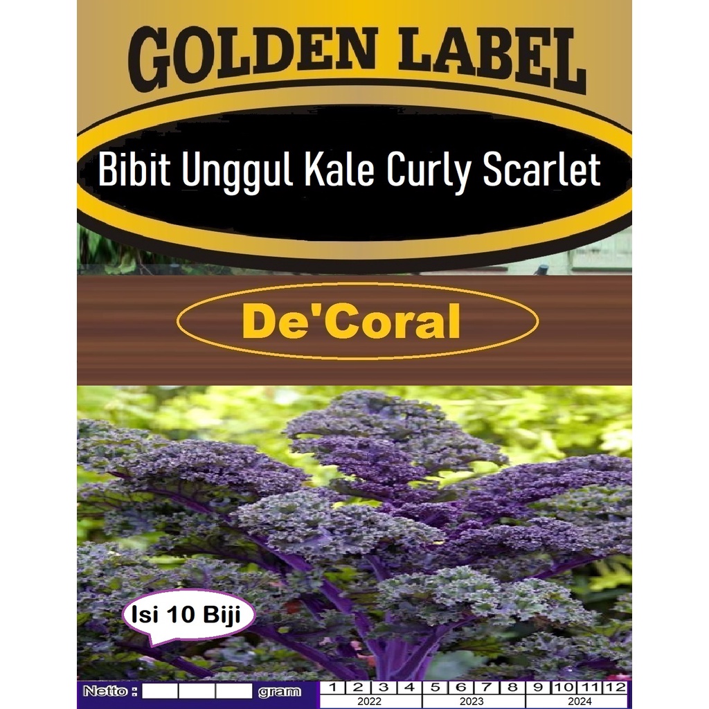 Bibit Unggul Kale Curly Scarlet|Benih Kale Curly Scarlet|Kale Scarlet
