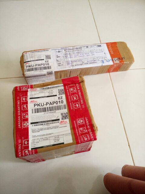 Sukulen Murah Dan Hemat Dengan Berbagai Macam Variant Sudah Termasuk Pot 10cm