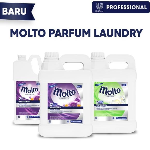 Delight Molto Laundry Parfum Perfume Alkohol Laundry L Jerigen Profess