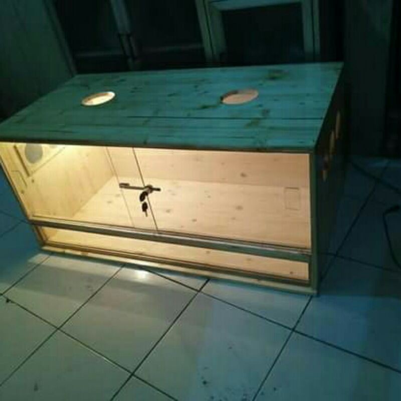 terrarium reptil jati belanda