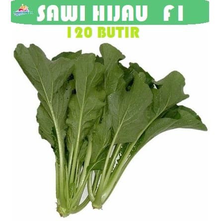 Bibit Benih Biji Pakchoy Pakchoi Green White Sawi Daging Bok choy Bokchoi Pokcoy Pokcay-Sawi Hijau 120 butir