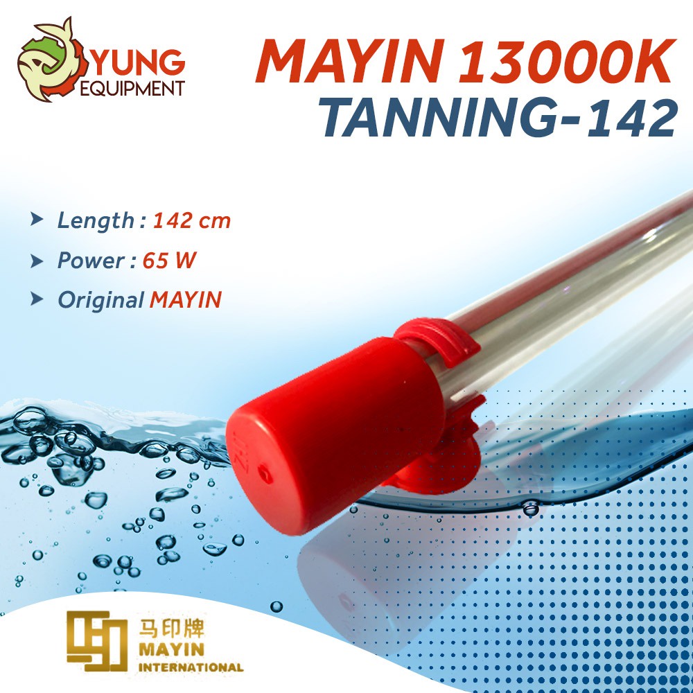 Mayin Led Tanning Arowana 13000k size 112cm