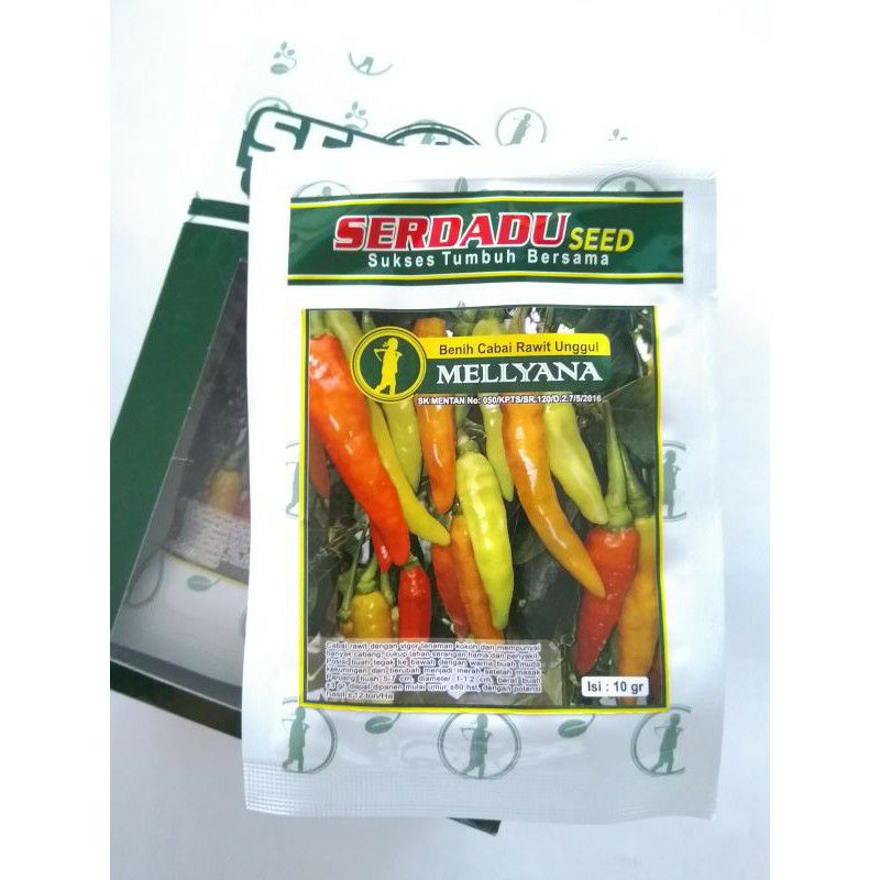 Benih cabe rawit putih unggul MELLYANA, cabai rawit tahan penyakit 10g