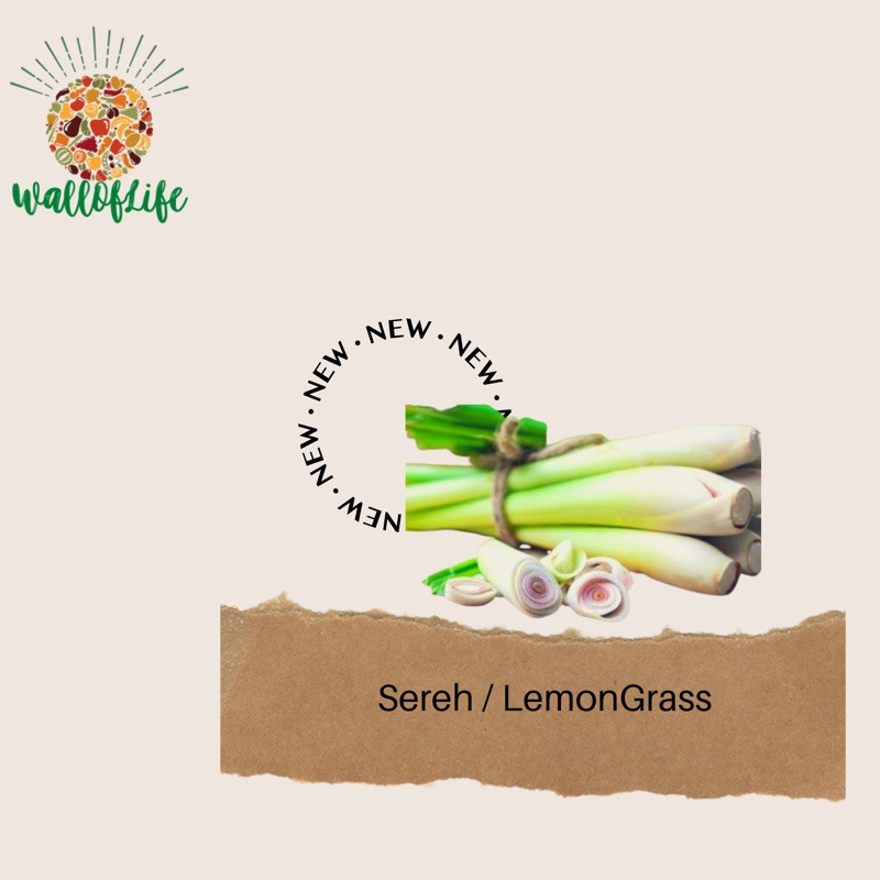 

Sereh / Lemongrass 500gr murah