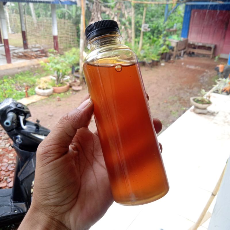 

Madu Lebah Asli isi 350 ml Madu Uray Madu Lokal Madu Asli