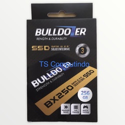 SSD Bulldozer 256GB