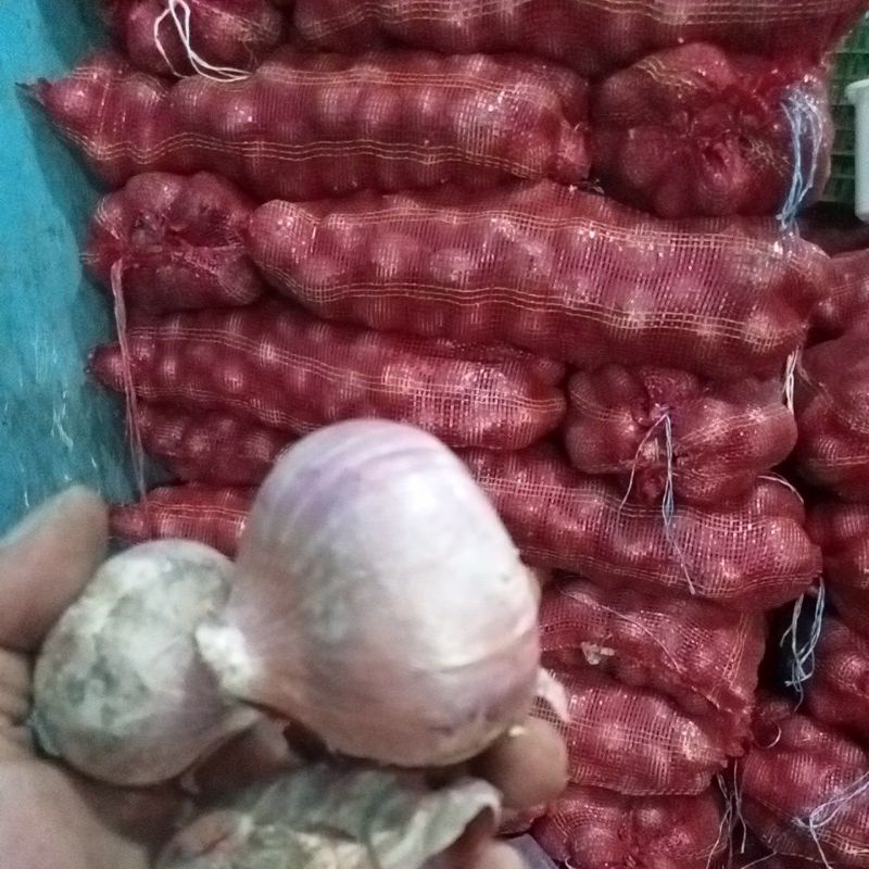 BAWANG MERAH PEKING