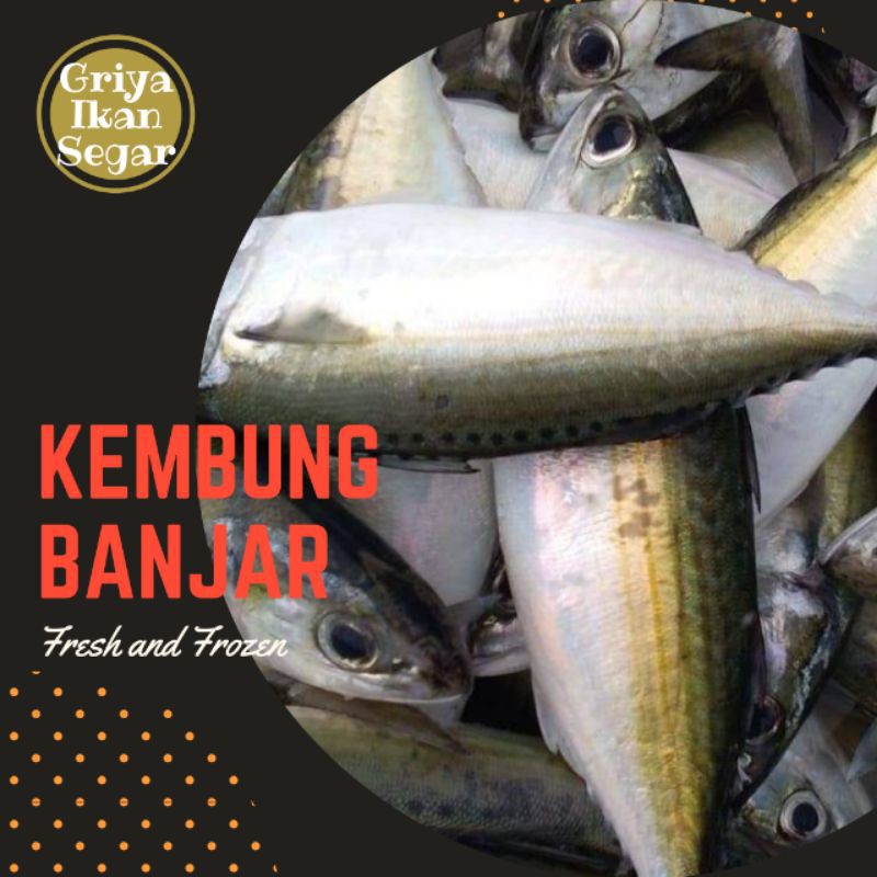 

iKAN KEMBUNG BANJAR