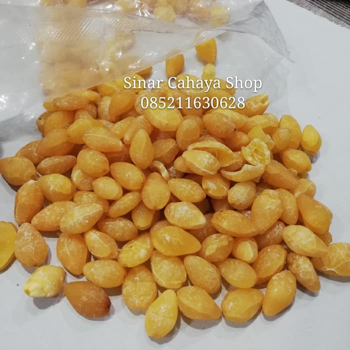 

Kacang Ginko Kupas / Dried Baiguo 100gram