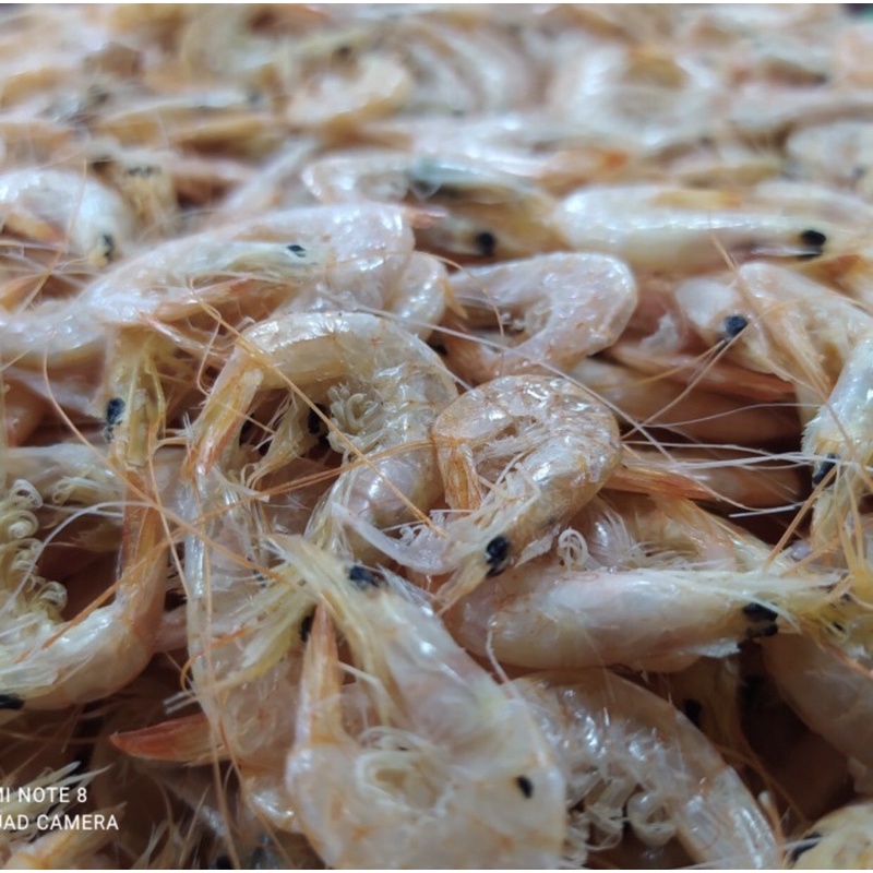 

Udang Manis Kering Kemasan 1Kg