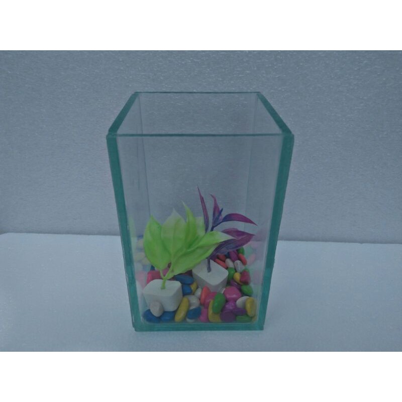 PAKET SOLITER CUPANG ukuran 10x10x15 soliter mini soliter sekat soliter selfie