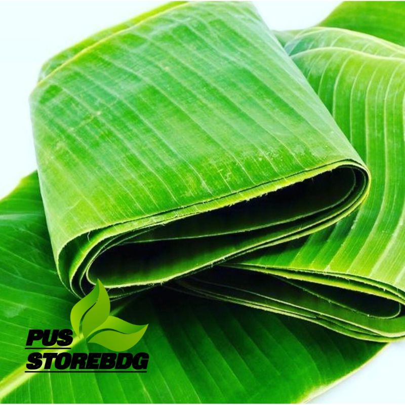 

Jual Daun Pisang segar 1 Kg