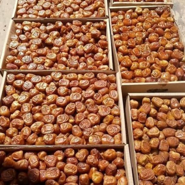 

[KODE KLAB7] Kurma Sukari 3kg ORIGINAL / sukari al qassim 3kg / Kurma Sukari Al qassim timbangan lebih