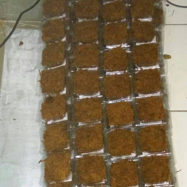

Ayam Gepuk Karwati