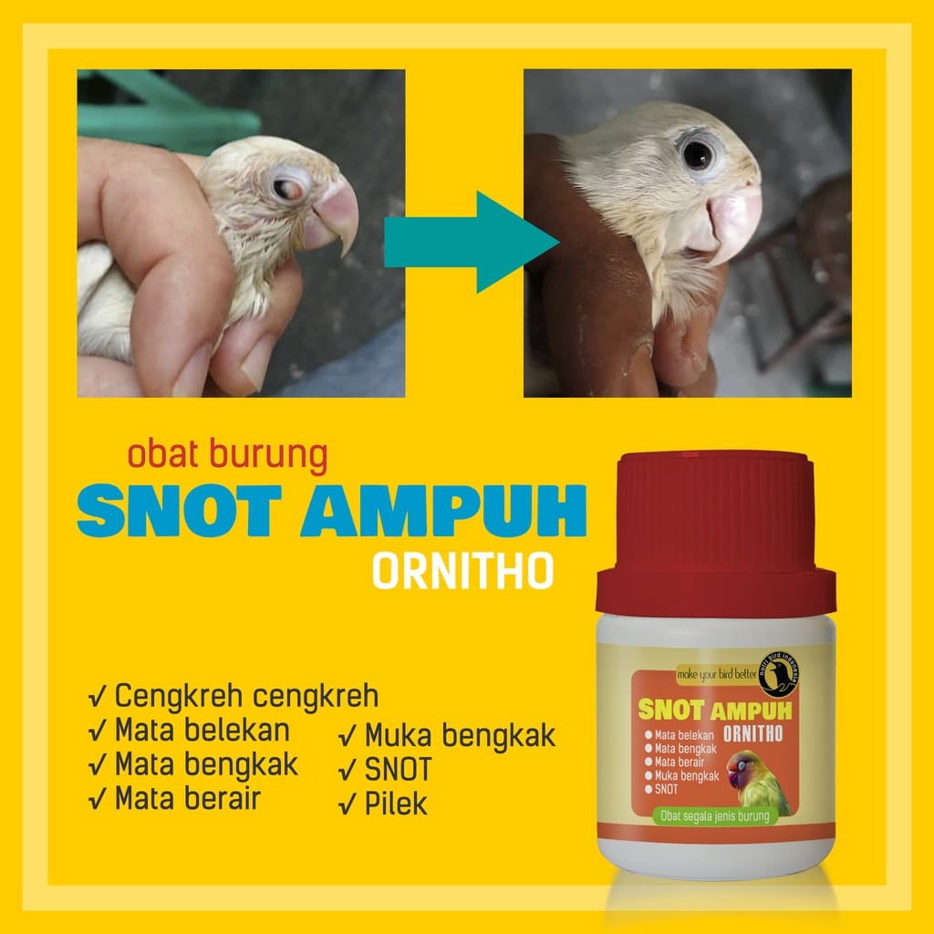 Obat burung SNOT AMPUH Ornitho