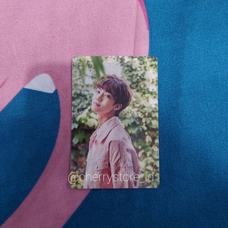 Photocard Jaemin SG17