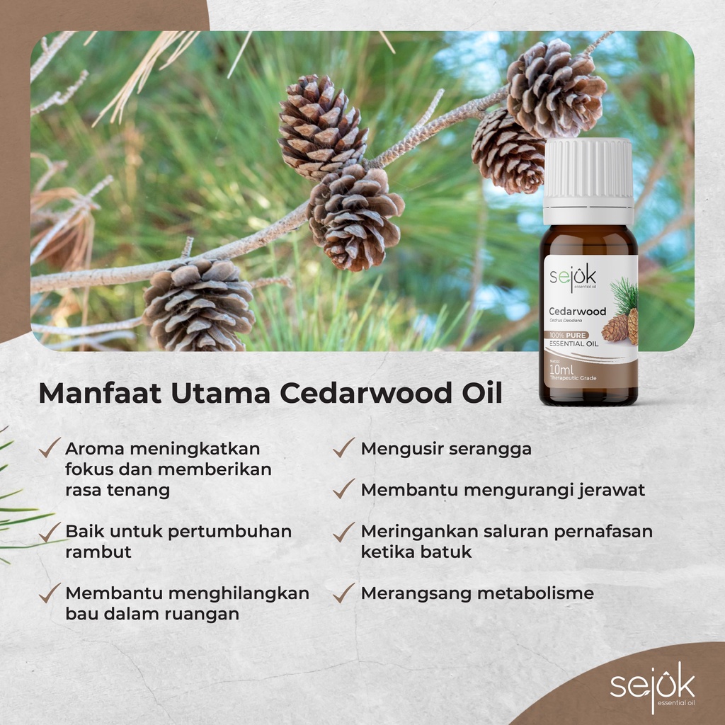 Sejuk Cedarwood Essential Oil / Minyak Aromaterapi Pure 100% - 10 ml