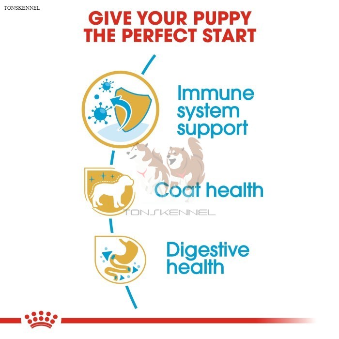 Royal Canin Poodle Puppy 3 kg Junior Makanan Anak Anjing Dry 3kg Dog Food Royal Cannin rc