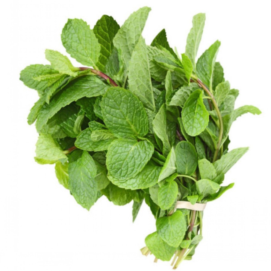 

DAUN MINT ORGANIK BSP FARM 50GR