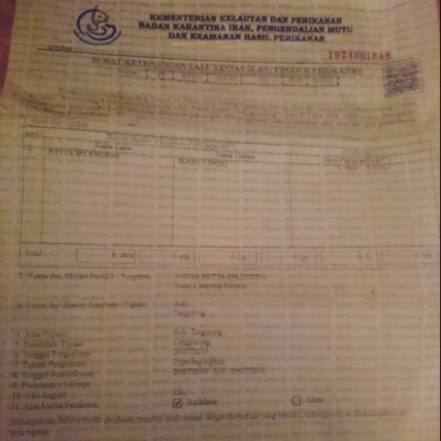 Surat Karantina Hewan / Ikan