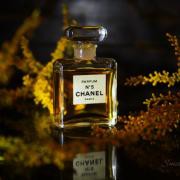 Parfum Cewe Parfum Wanita Brended KW Super Wangi Perfume Branded Chanel no.5