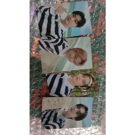 bane tamed dashed pob wv enhypen