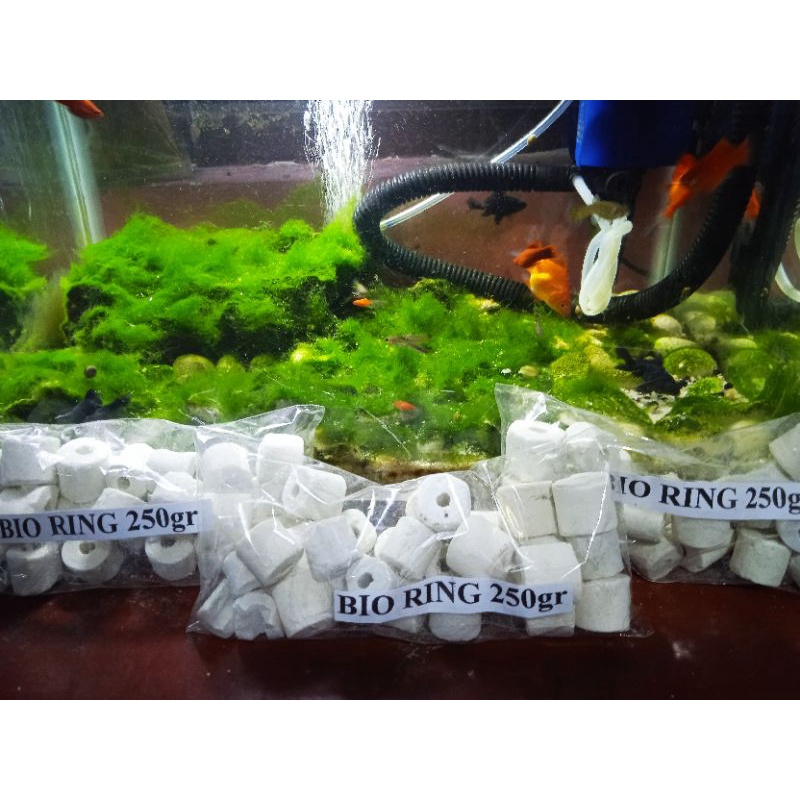 Bio Filter Ring Keramik (R, 250gr)