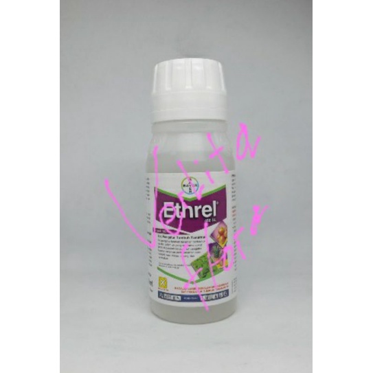 Ethrel ZPT 480 SL 100ml
