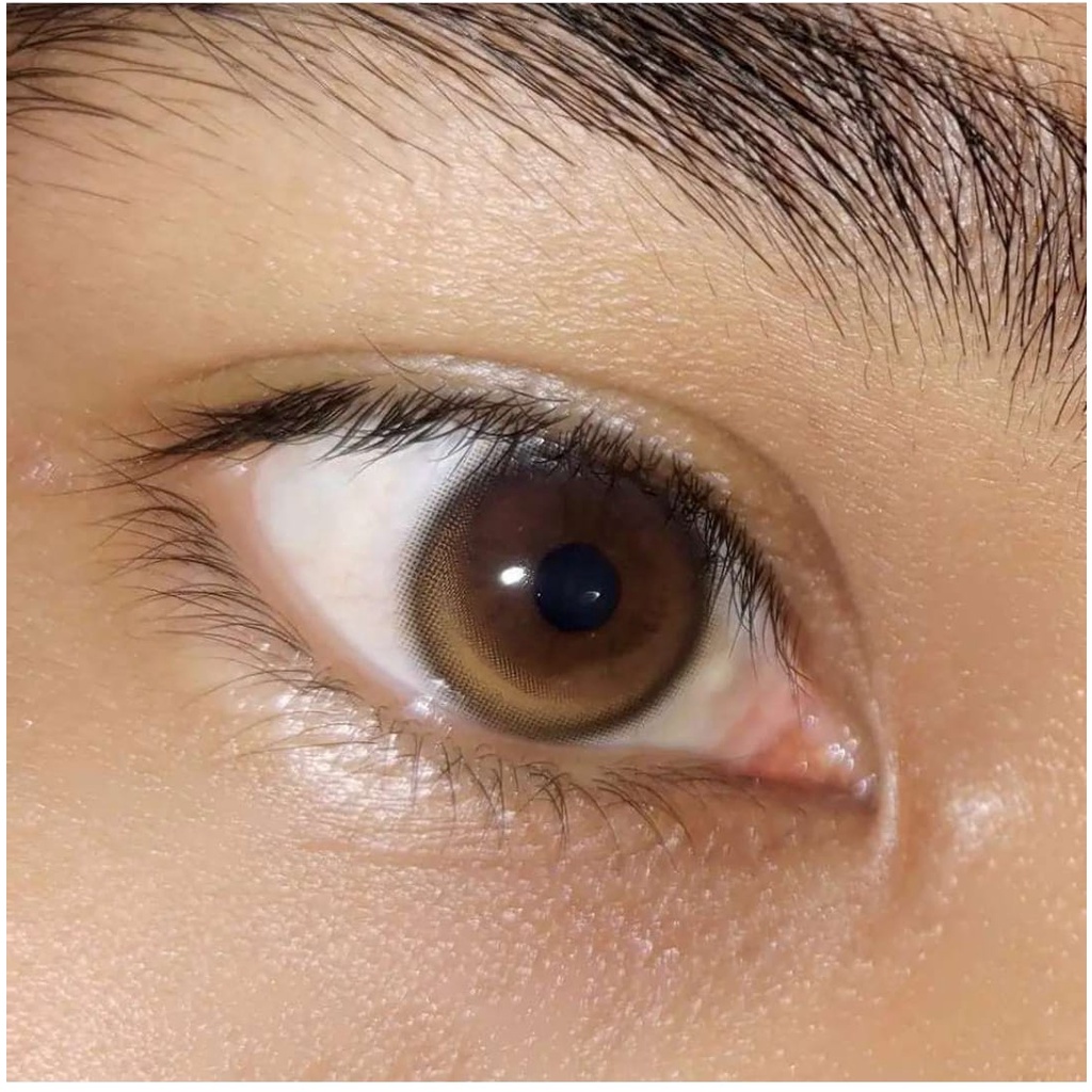 MAGIC HOLE CHESTNUT/BROWN WINKLENS