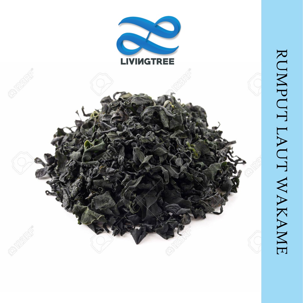 

Rumput Laut Wakame 25 g Dried Wakame │ Rumput Laut Kering Untuk Ramen Udon Miso