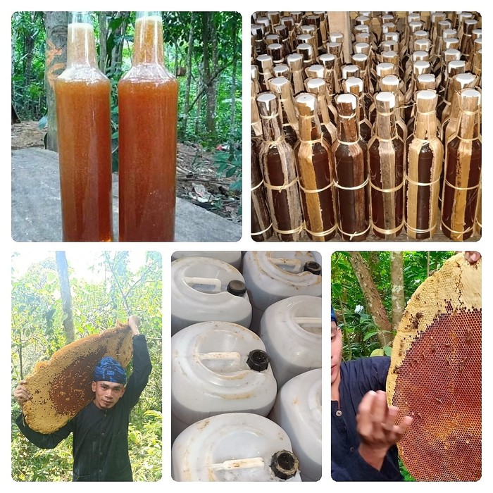 

MADU ODENG BADUY ASLI, botol Plastik KHUSUS RESELLR