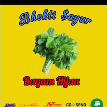 

Bayam hijau 1 ikat
