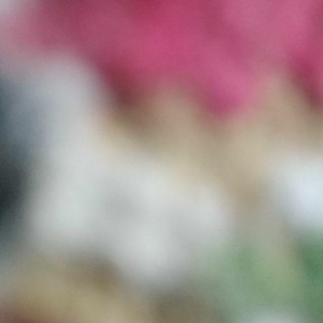 Plastik Rapping Shrink Wrapping Segel Hp 10 X 25 Meter