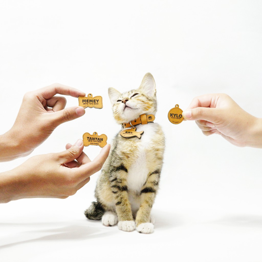 [ KALUNG KULIT ] / kalung kucing custom / kalung anjing custom / kalung kucing nama