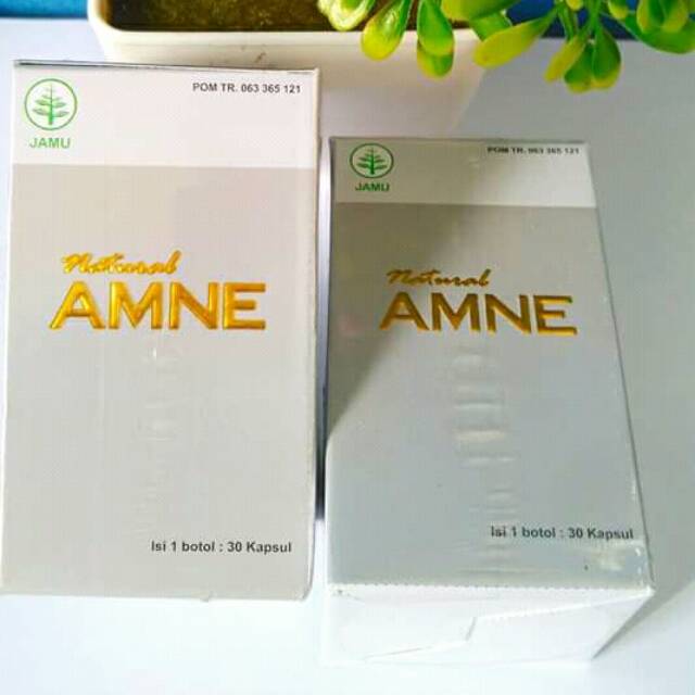 AMNE ( ASAM AMINO EVOLUTION ) Obat penggemuk NASA